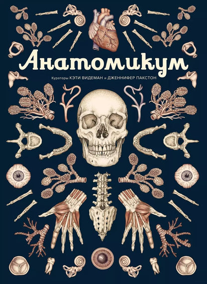 Обложка книги "Видеман, Пакстон: Анатомикум"