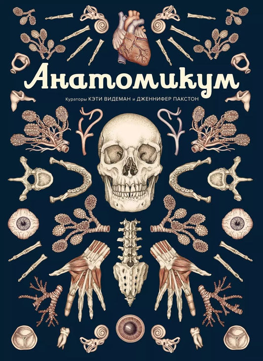 Обложка книги "Видеман, Пакстон: Анатомикум"