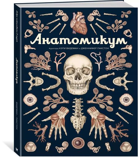 Фотография книги "Видеман, Пакстон: Анатомикум"