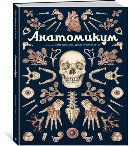 Фотография книги "Видеман, Пакстон: Анатомикум"