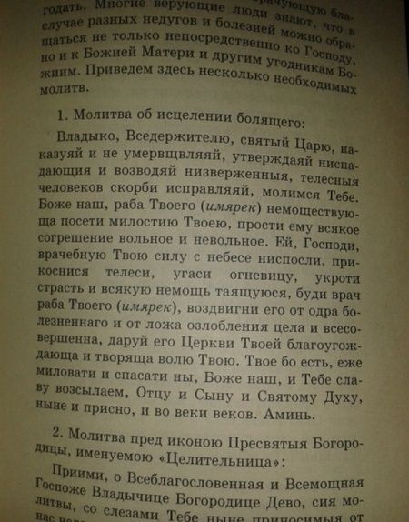 Фотография книги "Виктор Грозовский: Если в православной семье заболел ребенок"