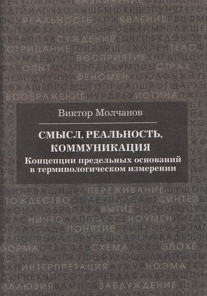Обложка книги "Виктор Игоревич: Смысл, реальность, коммуникация. Концепции предельных оснований в терминологическом измерении"