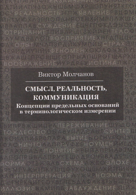 Обложка книги "Виктор Игоревич: Смысл, реальность, коммуникация. Концепции предельных оснований в терминологическом измерении"