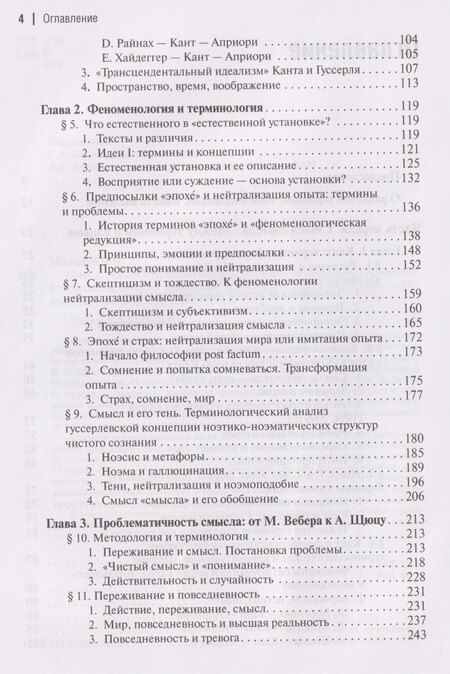 Фотография книги "Виктор Игоревич: Смысл, реальность, коммуникация. Концепции предельных оснований в терминологическом измерении"