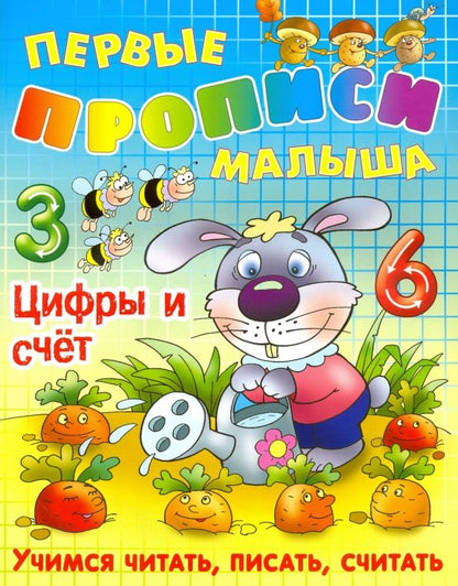 Обложка книги "Виктор Лясковский: Цифры и счет"