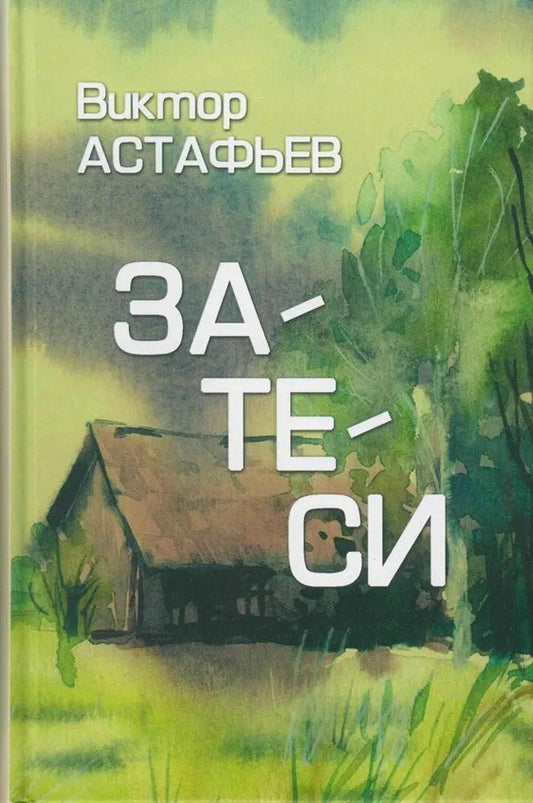 Обложка книги "Виктор Петрович: Затеси"