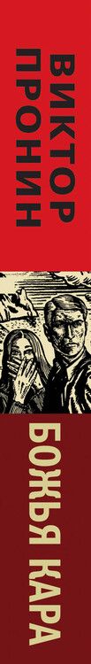 Фотография книги "Виктор Пронин: Божья кара"