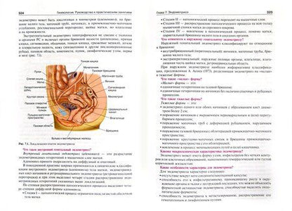 Фотография книги "Виктор Радзинский: Гинекология. Руководство к практическим занятиям. Учебное пособие"