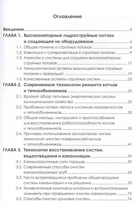Фотография книги "Виктор Родионов: Современные энергосберегающие и экологичные техники ремонта и восстановления систем"