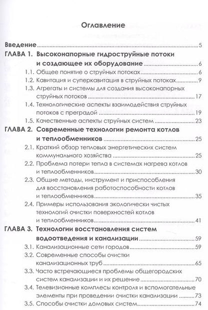 Фотография книги "Виктор Родионов: Современные энергосберегающие и экологичные техники ремонта и восстановления систем"
