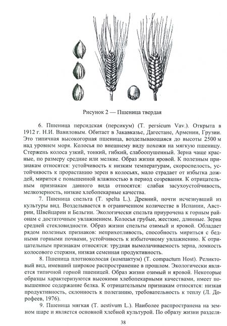 Фотография книги "Виктор Савельев: Растениеводство. Учебное пособие для СПО"