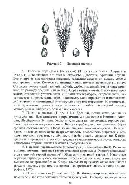 Фотография книги "Виктор Савельев: Растениеводство. Учебное пособие для СПО"