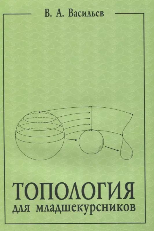 Обложка книги "Виктор Васильев: Топология для младшекурсников"