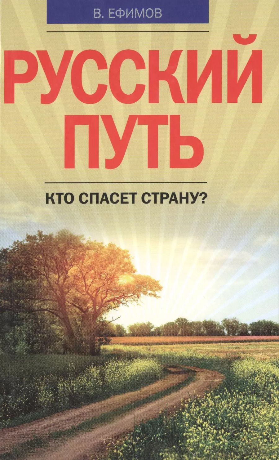 Обложка книги "Виктор Ефимов: Русский путь. Кто спасет страну?"
