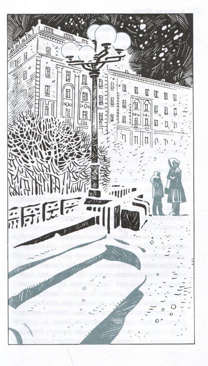 Фотография книги "Виктория Эйлер: Полярное солнце"