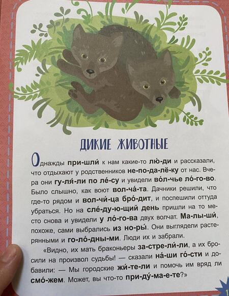 Фотография книги "Виктория Федосова: Вот так чудеса! 3 уровень сложности"