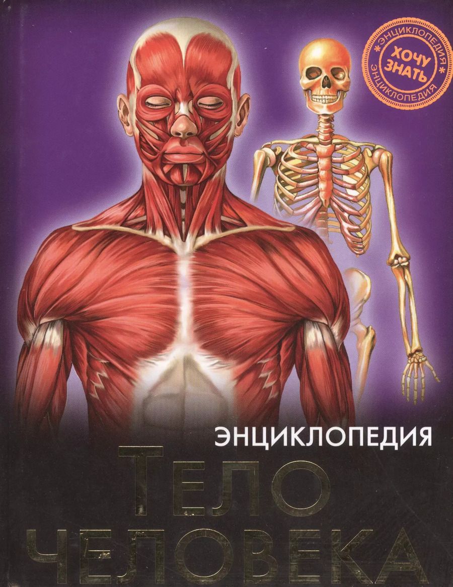 Обложка книги "Виктория Гетцель: Тело человека"