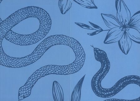 Фотография книги "Виктория Миллс: Пленница Змея, или Желанный трофей Нага"