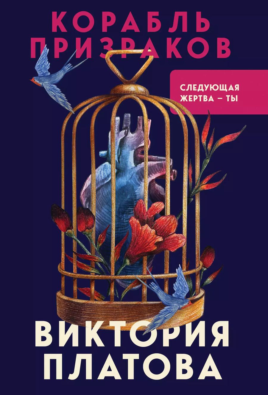 Обложка книги "Виктория Платова: Корабль призраков"