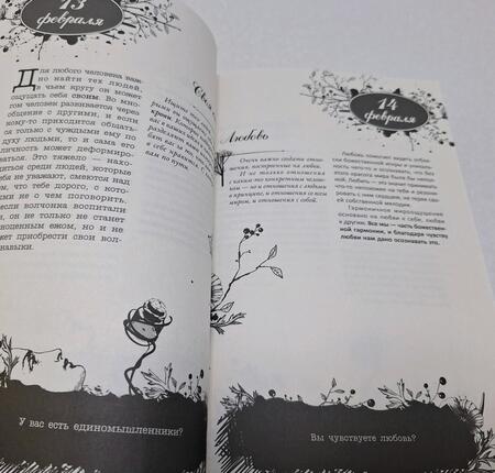 Фотография книги "Виктория Райдос: Поворотный год. Магический Ежедневник"