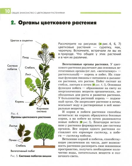 Фотография книги "Викторов, Никишов: Биология. 7 класс. Растения, бактерии, грибы и лишайники. Учебник. ФГОС"