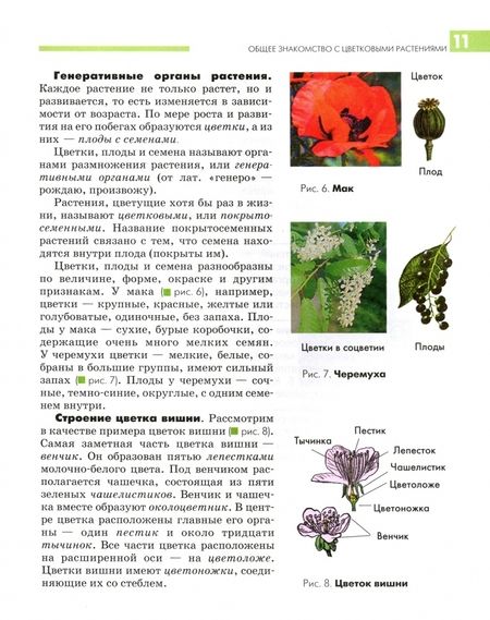 Фотография книги "Викторов, Никишов: Биология. 7 класс. Растения, бактерии, грибы и лишайники. Учебник. ФГОС"
