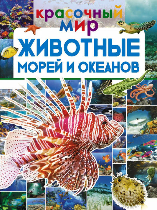 Обложка книги "Викторовна, Владимирович, Дмитриевна: Животные морей и океанов"