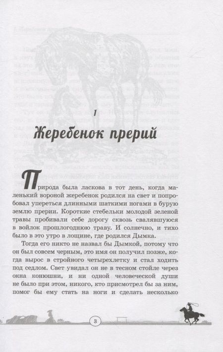 Фотография книги "Виль: Дымка. Конь ковбоя"