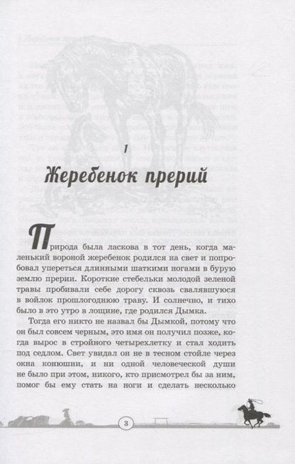 Фотография книги "Виль: Дымка. Конь ковбоя"
