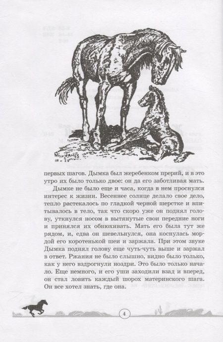 Фотография книги "Виль: Дымка. Конь ковбоя"