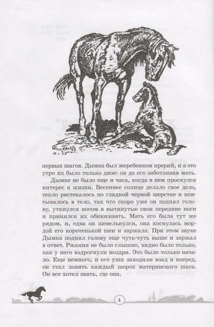 Фотография книги "Виль: Дымка. Конь ковбоя"