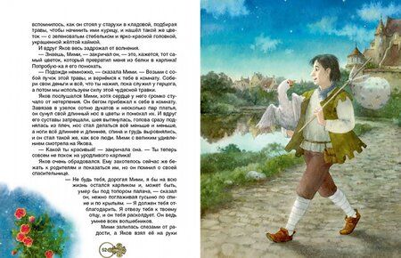 Фотография книги "Вильгельм Гауф: Карлик нос"