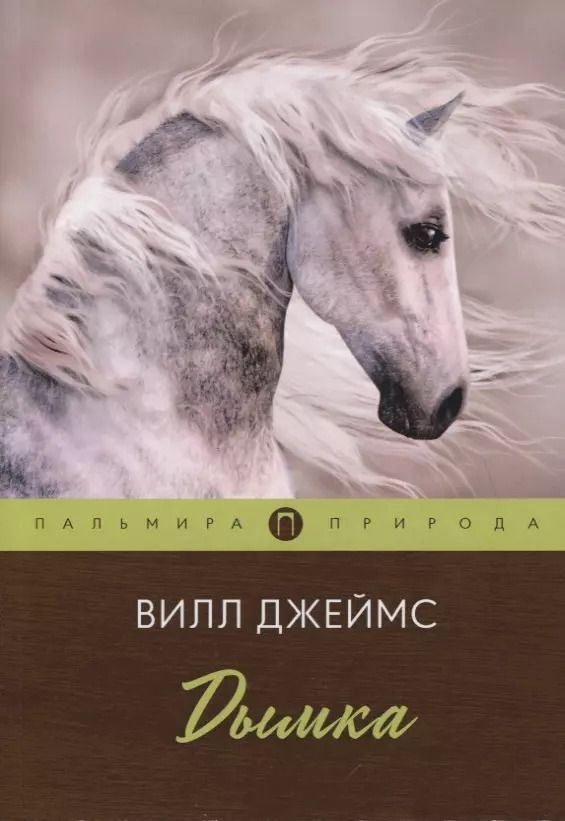 Обложка книги "Вилл Джеймс: Дымка. Повесть"