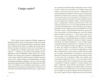 Фотография книги "Винфрид Зебальд: Campo santo"