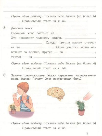 Фотография книги "Виноградова, Калинова: Окружающий мир. 4 класс. Тетрадь для проверочных работ. Часть 1. ФГОС"