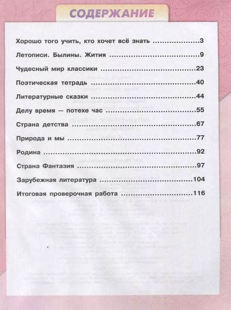 Фотография книги "Виноградская, Бойкина: Литературное чтение. 4 класс. Рабочая тетрадь"