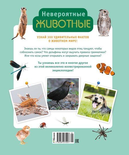 Фотография книги "Винсент Альбуи: Невероятные животные"