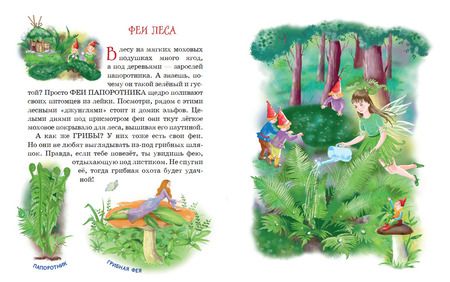 Фотография книги "Виола Фиалкина: Все о волшебных феях"