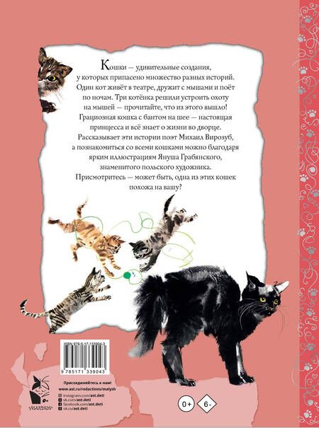 Фотография книги "Вирозуб: Удивительные кошачьи истории"