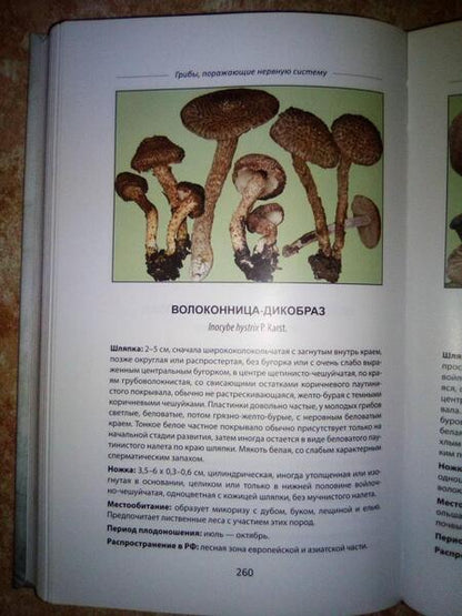 Фотография книги "Вишневский: Ядовитые грибы России"