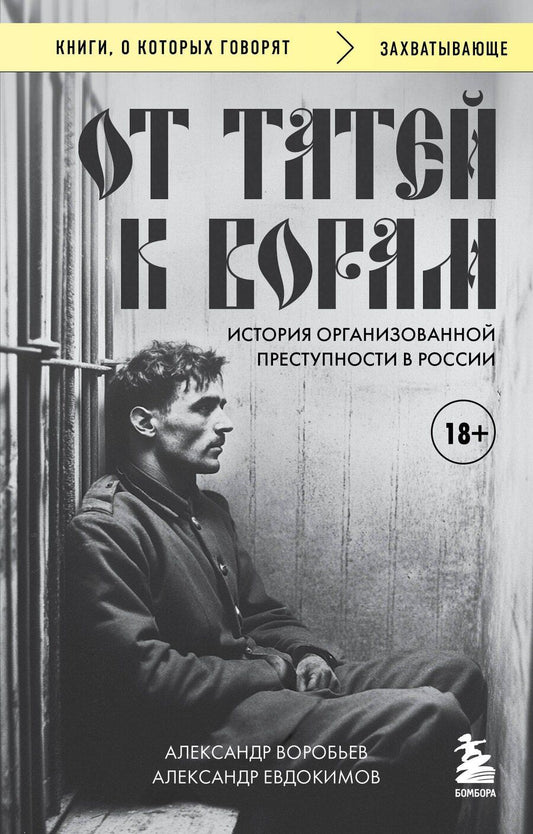 Обложка книги "Витальевич, Владимирович: От татей к ворам: история организованной преступности в России."