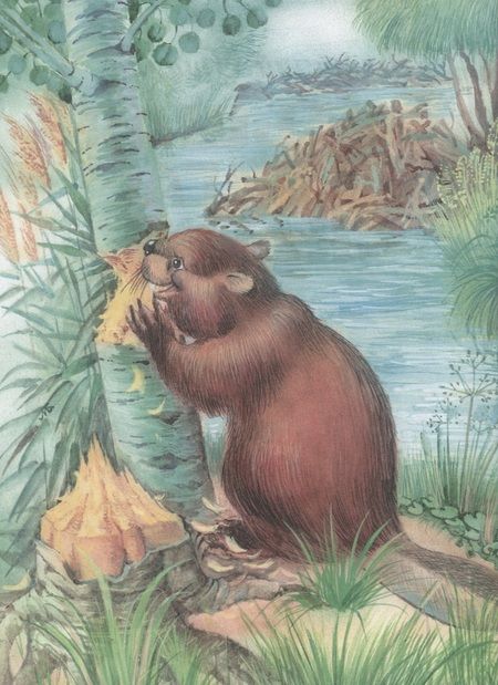 Фотография книги "Виталий Бианки: Большая книга сказок"