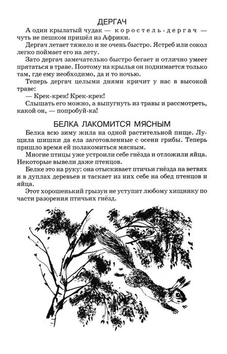 Фотография книги "Виталий Бианки: Лесная газета"