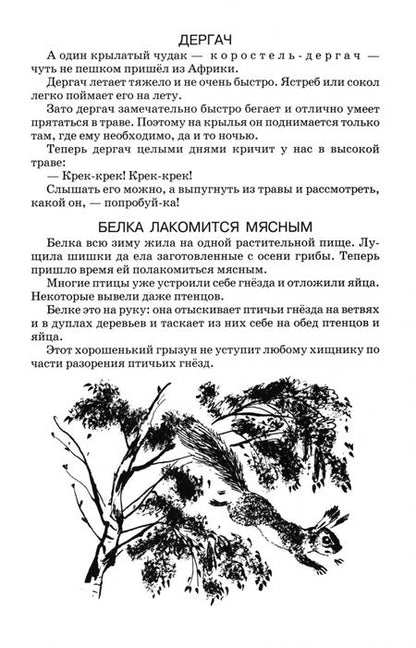 Фотография книги "Виталий Бианки: Лесная газета"