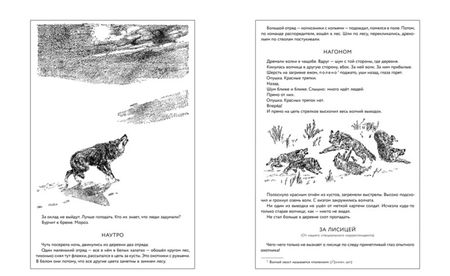 Фотография книги "Виталий Бианки: Лесная газета на каждый год. Зима"