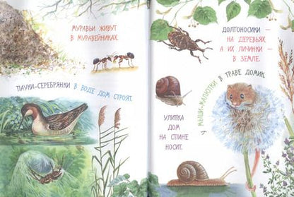 Фотография книги "Виталий Бианки: Лесные домишки"