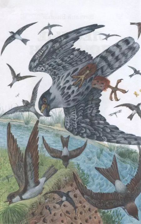 Фотография книги "Виталий Бианки: Лесные домишки"