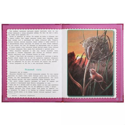 Фотография книги "Виталий Бианки: Любимые книжки. Мышонок Пик"