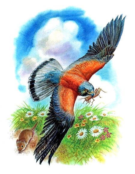 Фотография книги "Виталий Бианки: Мышонок Пик. Сказки"