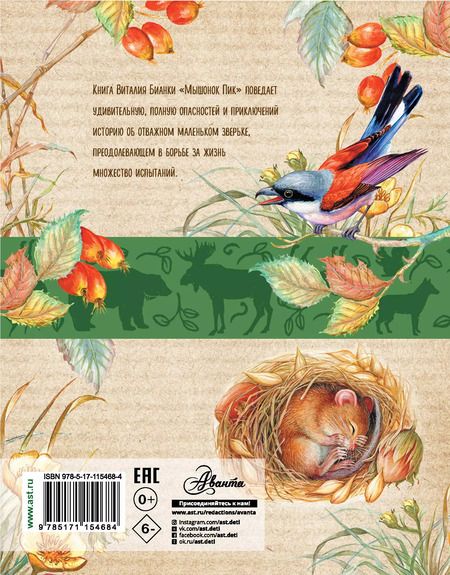 Фотография книги "Виталий Бианки: Мышонок Пик"